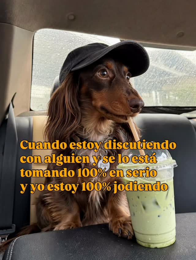 Papi en Instagram