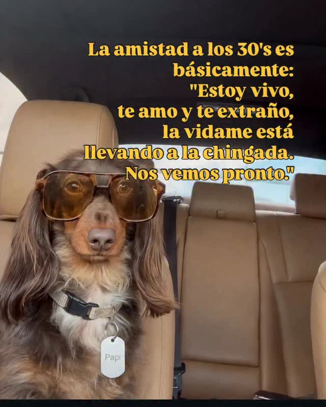 Papi en Instagram