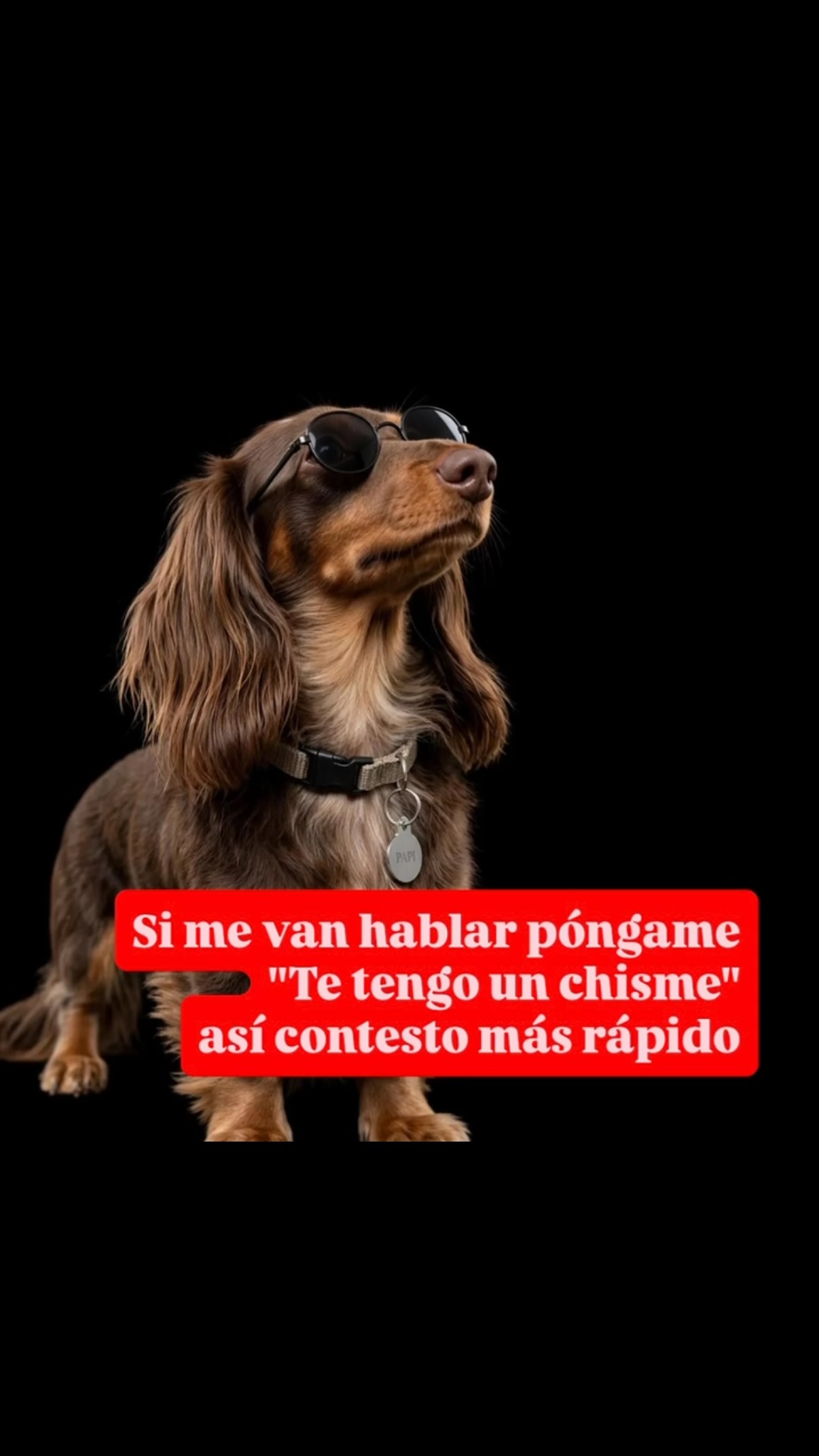 Papi en Instagram